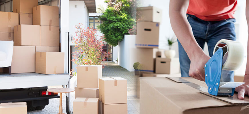 Twins Packers and Movers Team